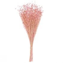 Article Décoration de table en herbe de lin séchée rose clair 50-55 cm 80 g