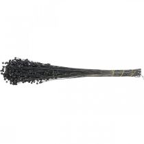 Article Tiges de Lin Séchées pour Décoration Noir 50–55cm 80g