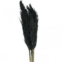 Article Carex d&#39;herbe sèche herbe décorative noire séchée 70cm 10 pièces
