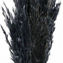 Article Carex d&#39;herbe sèche herbe décorative noire séchée 70cm 10 pièces