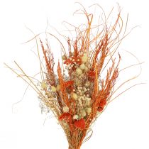 Article Bouquet sec chardon millefeuille orange blanchi 55cm 150g