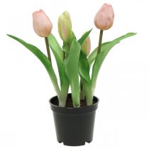 Article Tulipe rose, verte en pot Tulipe décorative artificielle en pot H23cm