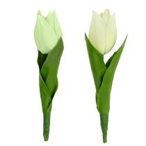 Décoration de printemps, tulipes artificielles, fleurs en soie, tulipes décoratives vert / crème 12pcs