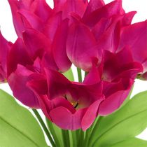 Piquet de tulipes fuchsia L 30 cm
