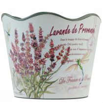 Article Jardinière plastique pot de fleur lavande Ø13,5cm H12cm