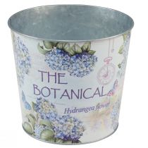 Article Pot en métal pour hortensia, Ø24cm H21cm