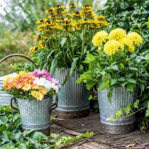 Article Jardinière métal avec poignées décoration vintage Ø26/20/17cm lot de 3