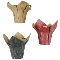 Article Jardinière papier étoiles rouge/anthracite/naturel Ø4,5cm H6cm 9 pcs