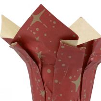 Article Jardinière papier étoiles rouge/anthracite/naturel Ø9,5cm H10cm 9pcs