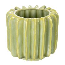 Article Pot de fleurs en forme de cactus, bol idéal pour une touche exotique dans votre intérieur, 16 cm