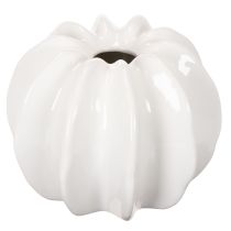 Article Vase décorative citrouille blanche brillante 19 cm pour fleurs artificielles