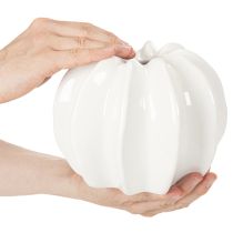 Article Vase décorative citrouille blanche brillante 19 cm pour fleurs artificielles
