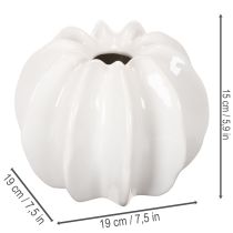 Article Vase décorative citrouille blanche brillante 19 cm pour fleurs artificielles