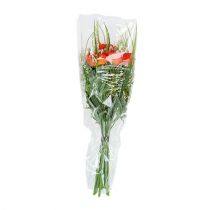 Article Entonnoir d&#39;emballage A L66cm B35cm - 10cm 50 pcs