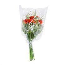 Article Entonnoir d&#39;emballage L L35cm L30cm - 11cm 50 pcs