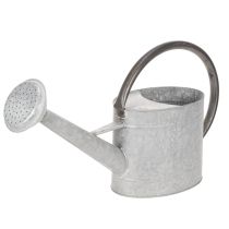 Article Arrosoir en métal vintage argenté pour décoration intérieure et jardin, 53 cm