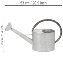 Article Arrosoir vintage en métal gris argenté, élégant objet de décoration de jardin, vase à fleurs, L 53 cm x H 29 cm