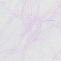 Article Polaire 8cm 25m lilas
