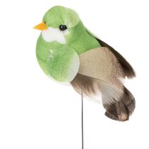Article Oiseaux décoratifs artificiels pour la maison, parfaits pour le printemps, avec un plumage coloré en véritables plumes, 5 cm, lot de 18.