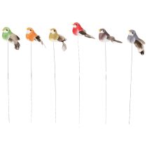 Article Oiseaux décoratifs artificiels pour la maison, parfaits pour le printemps, avec un plumage coloré en véritables plumes, 5 cm, lot de 18.