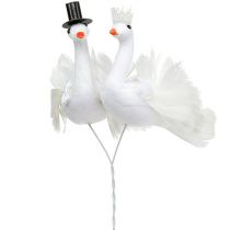 Oiseaux blancs jeunes mariés 38 cm