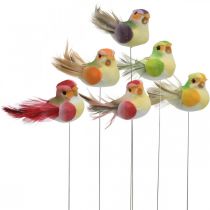 Printemps, oiseau sur fil de fer, fleurs colorées plugs H2.5cm 24pcs