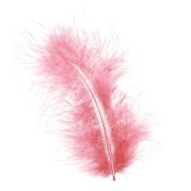 Article Plumes d&#39;oiseaux plumes artisanales en rose printemps Pâques 20g