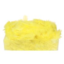 Article Plumes d'oiseaux jaunes pour travaux manuels, plumes décoratives 5cm - 10cm 20g