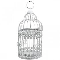 Article Cage à oiseaux à suspendre volière décorative shabby blanc H31,5cm