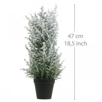 Article Genévrier artificiel en pot, plante artificielle H47cm