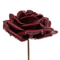 Cire rose rouge foncé Ø10cm 6pcs