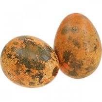 Article Oeufs de caille décoratifs soufflés 3 cm orange abricot - Lot de 50