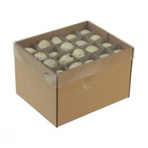 Article Oeufs de caille décoration Oeufs soufflés de Pâques crème 3cm 50 pcs