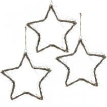Article Décoration de Noël étoile étoiles blanchies à suspendre orme 30cm 4pcs