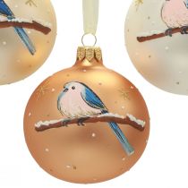 Boules de Noël en verre Boule de sapin de Noël oiseau hiver Ø8cm 6pcs