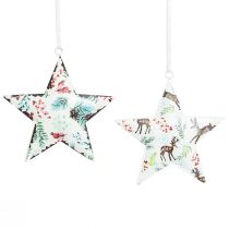 Article Décorations de Noël étoile cerf aiguilles baies Ø8cm 6 pcs