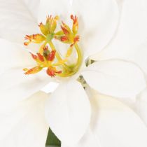 Article Kunstblume poinsettia blanc grande fleur 40 cm