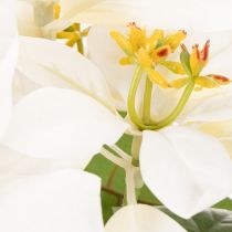 Article Kunstblume poinsettia blanc grande fleur 40 cm