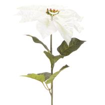 Article Poinsettia blanc artificiel, grande branche fleurie décorative, 65 cm, 2 pièces