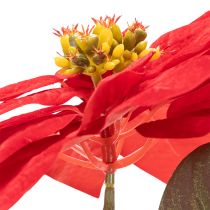 Article Fleur artificielle Poinsettia rouge sur tige 82 cm