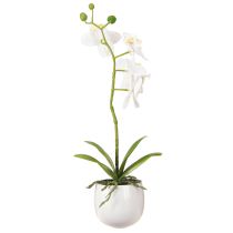Article Orchidée blanche artificielle en pot Phalaenopsis H33cm