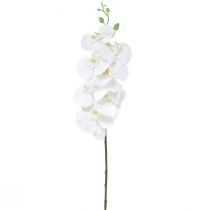 Article Orchidée artificielle Phalaenopsis blanche Real Touch H83cm