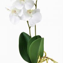 Article Orchidée blanche sur pic Phalaenopsis artificiel Real Touch 39cm