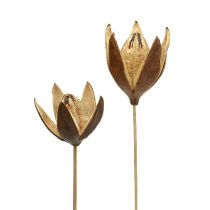 Article Lys sauvage sur tige coloris naturel Ø6,5cm L55cm 45 pcs