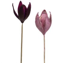 Lys sauvage pour la décoration sur la tige mix rose, bruyère 45pcs