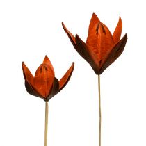 Article Lys sauvage sur tige orange 45 pcs