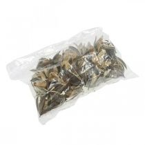 Article Lys sauvage Décoration naturelle Fleurs séchées exotiques 6-8 cm 50 pièces