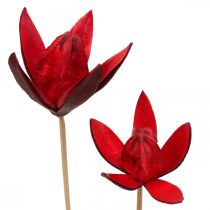 Lys sauvage sur tige rouge Ø6.5cm 35cm 45p