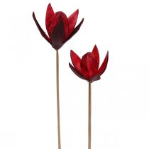 Lys sauvage sur tige rouge Ø6.5cm 35cm 45p