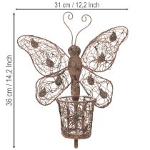 Article Lanterne en métal, décoration murale, papillon, finition rouille, 36,5 cm